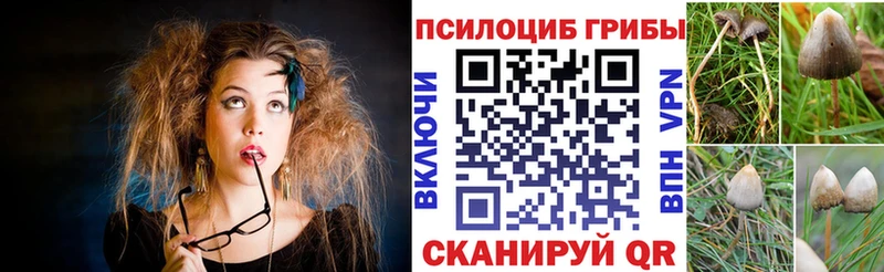 как найти наркотики  Анапа  Галлюциногенные грибы Cubensis 